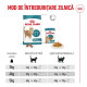 Royal Canin Feline Health Nutrition Healthy Ageing 11 plus  – Hrană uscată pentru pisici senior, 4 kg